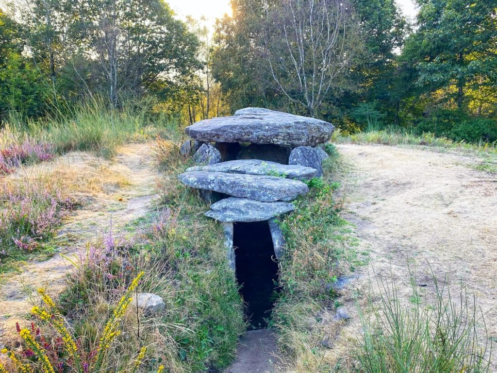 Arte Rupestre Terras de Pontevedra Guíate Galicia