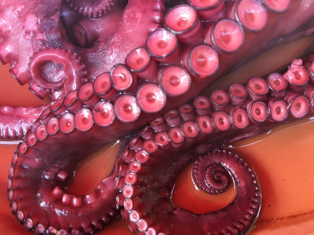 Pulpo Guíate Galicia