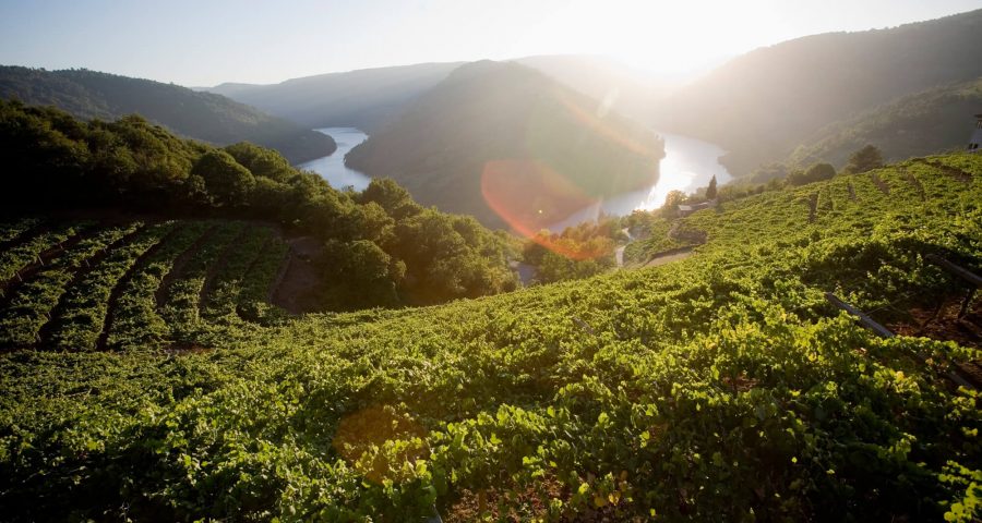 Ribeira Sacra Lucense Guíate Galicia