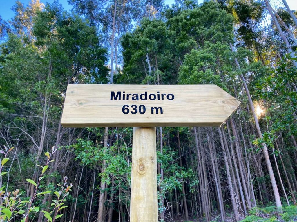 Parque Forestal da Tomba Guíate Galicia