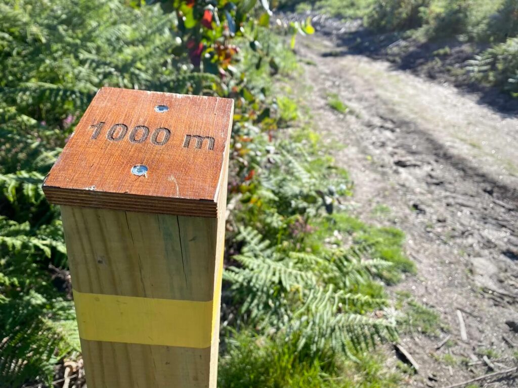 Parque Forestal da Tomba Guíate Galicia