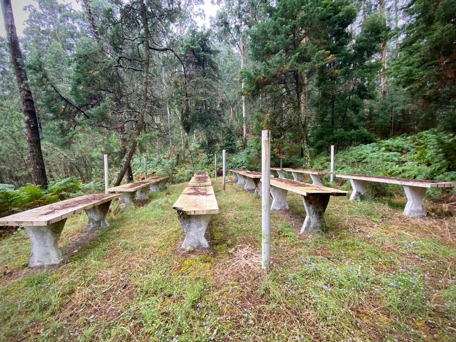 Isla de Tambo Guíate Galicia