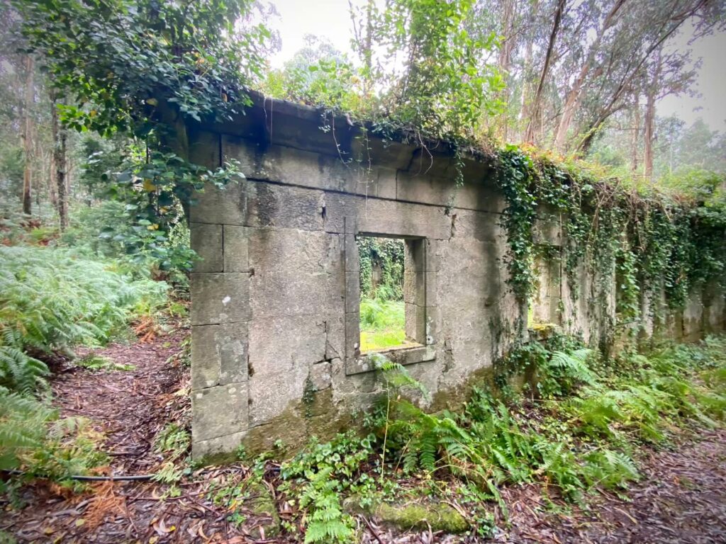 Isla de Tambo Guíate Galicia