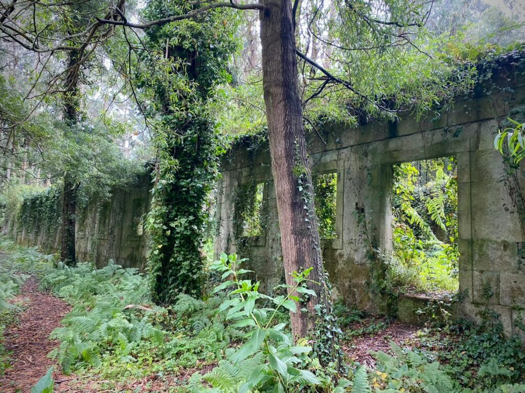 Isla de Tambo Guíate Galicia